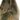 grigia_bag_new_cat_salvia_2